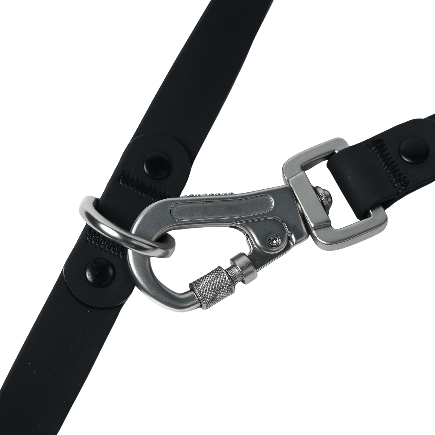 [Nuevo] Roam Multi-Way Leash MAX