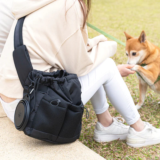 Everyday Dog Walking Bag